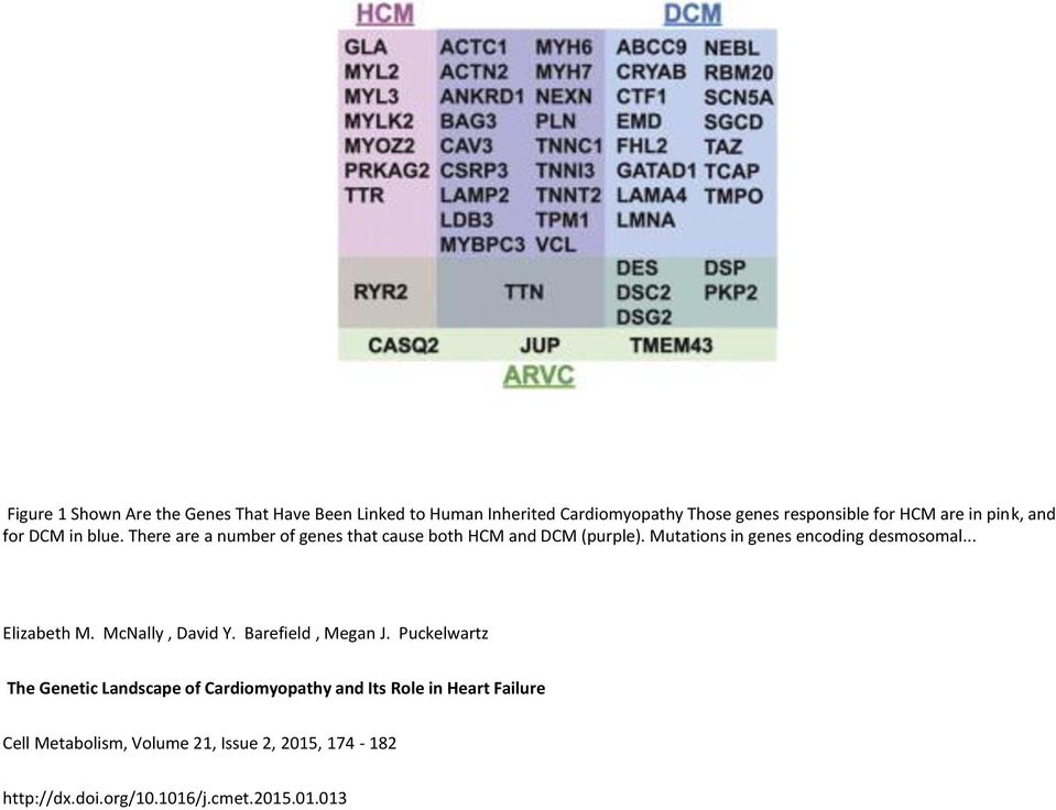 Mutations in genes encoding desmosomal... Elizabeth M. McNally, David Y. Barefield, Megan J.