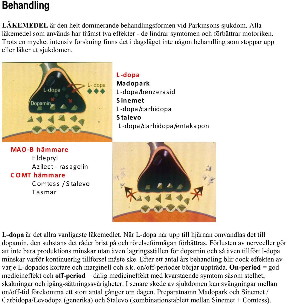 L -dopa Madopark L-dopa/benzerasid Sinemet L-dopa/carbidopa Stalevo L-dopa/carbidopa/entakapon MAO -B hämmare Eldepryl Azilect - ras agelin C OMT hämmare C omtess / S talevo Tasmar L-dopa är det