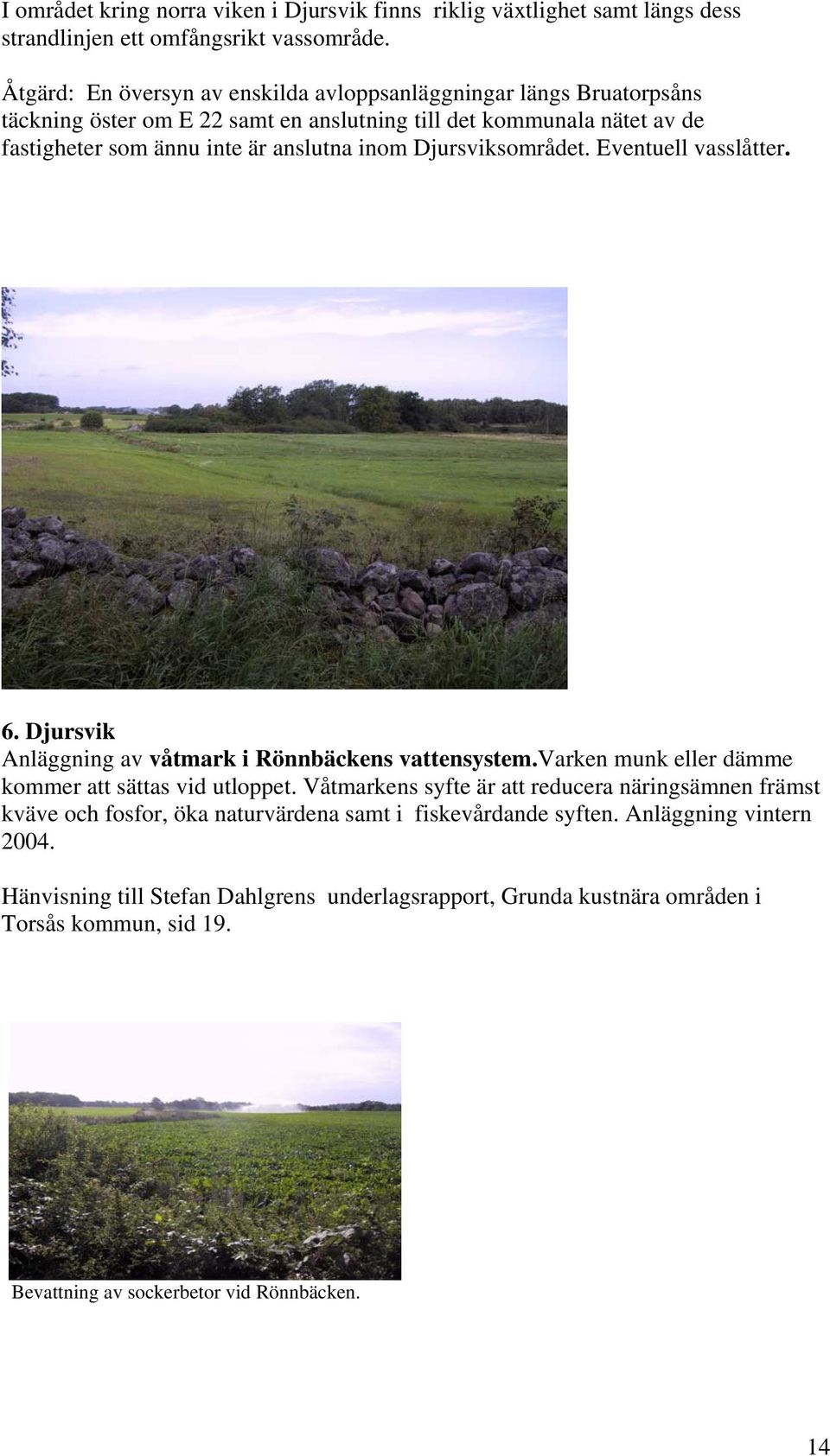 Djursviksområdet. Eventuell vasslåtter. 6. Djursvik Anläggning av våtmark i Rönnbäckens vattensystem.varken munk eller dämme kommer att sättas vid utloppet.