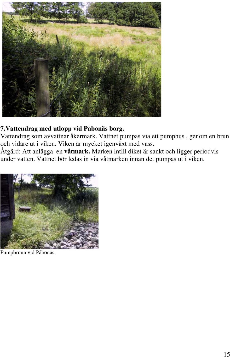 Viken är mycket igenväxt med vass. Åtgärd: Att anlägga en våtmark.