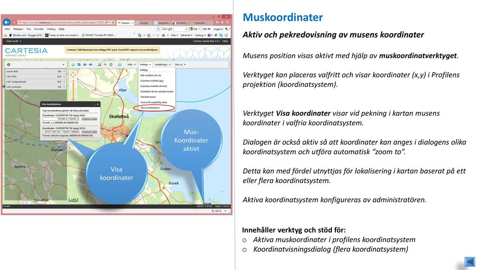 Mus- Koordinater aktivt Verktyget Visa koordinater visar vid pekning i kartan musens koordinater i valfria koordinatsystem.