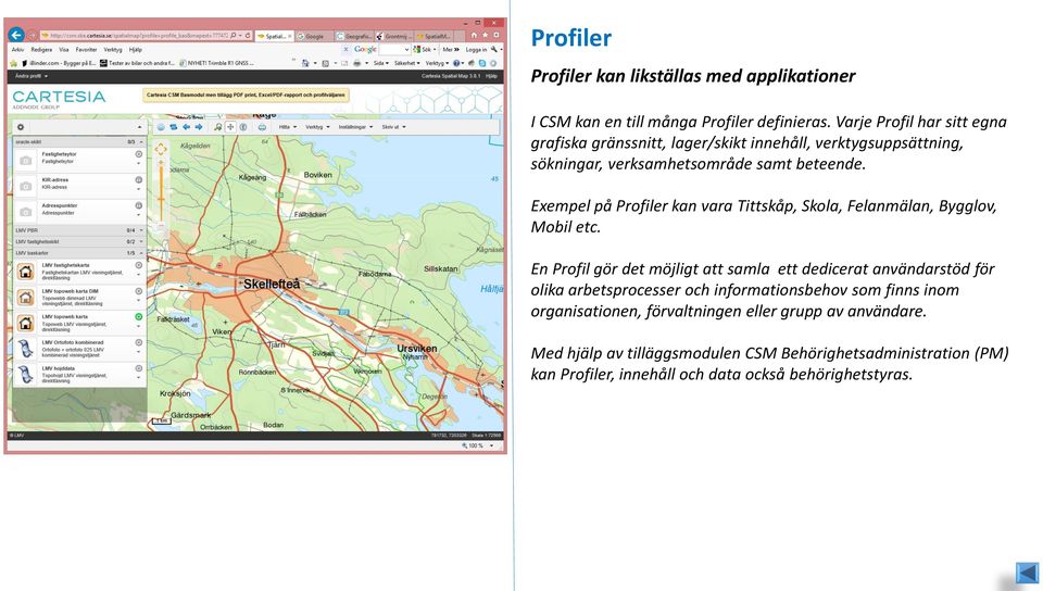 Exempel på Profiler kan vara Tittskåp, Skola, Felanmälan, Bygglov, Mobil etc.