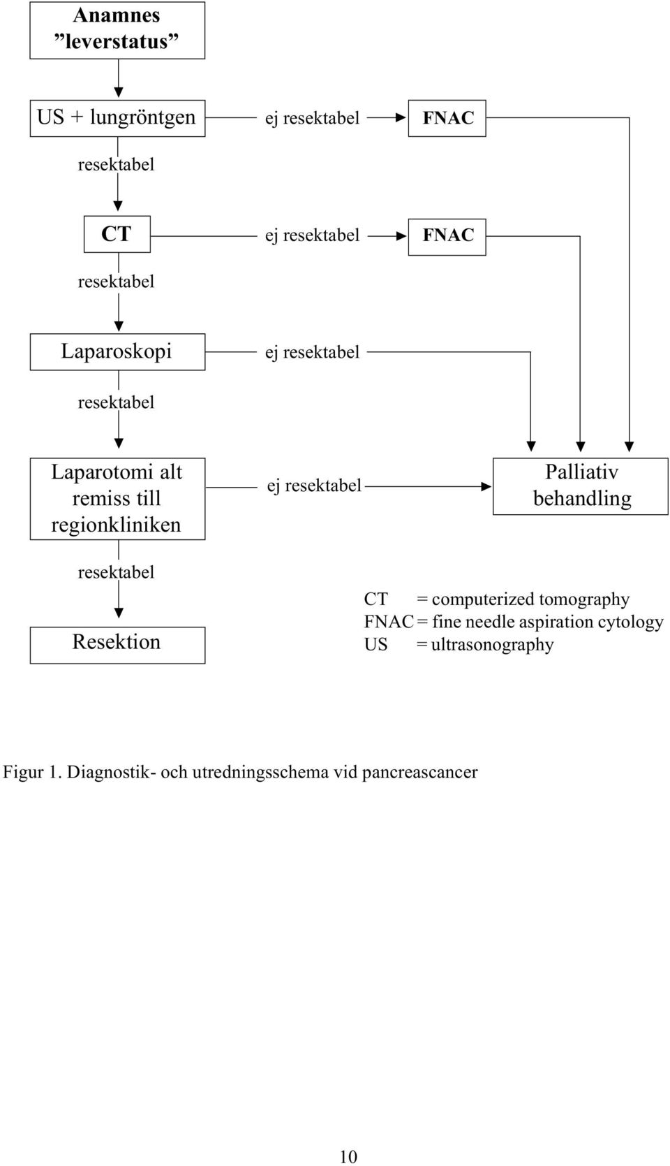 resektabel Palliativ behandling resektabel Resektion CT = computerized tomography FNAC = fine