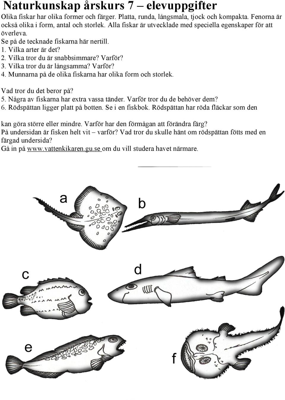 Vilka tror du är långsamma? Varför? 4. Munnarna på de olika fiskarna har olika form och storlek. Vad tror du det beror på? 5. Några av fiskarna har extra vassa tänder. Varför tror du de behöver dem?