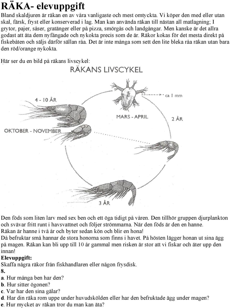 Men kanske är det allra godast att äta dem nyfångade och nykokta precis som de är. Räkor kokas för det mesta direkt på fiskebåten och säljs därför sällan råa.