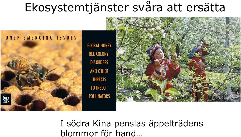 södra Kina penslas