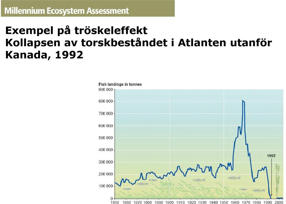 Kollapsen av