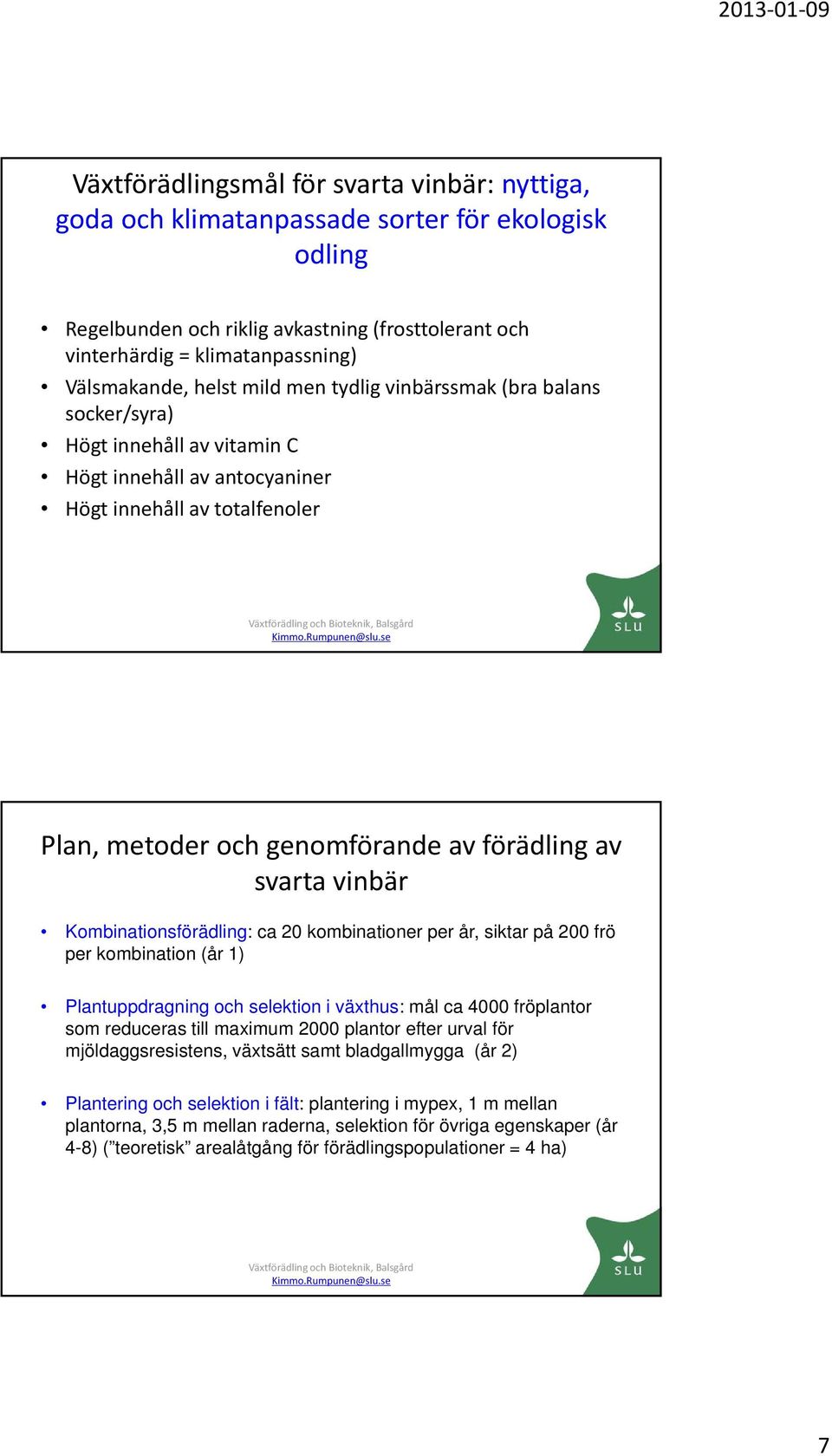 vinbär Kombinationsförädling: ca 20 kombinationer per år, siktar på 200 frö per kombination (år 1) Plantuppdragning och selektion i växthus: mål ca 4000 fröplantor som reduceras till maximum 2000