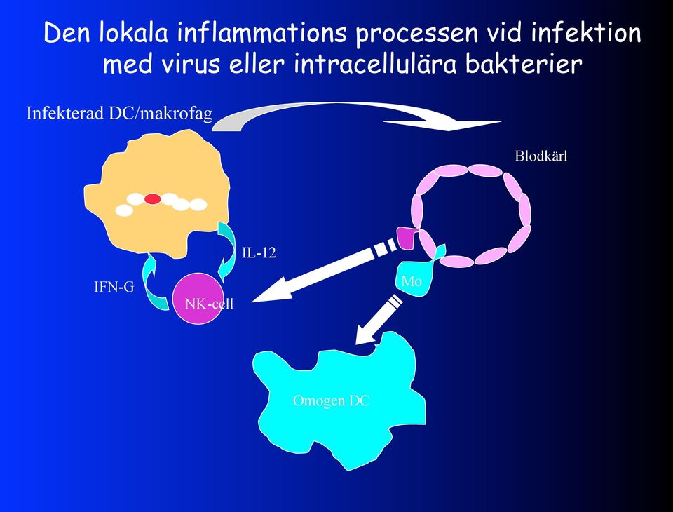 intracellulära bakterier Infekterad