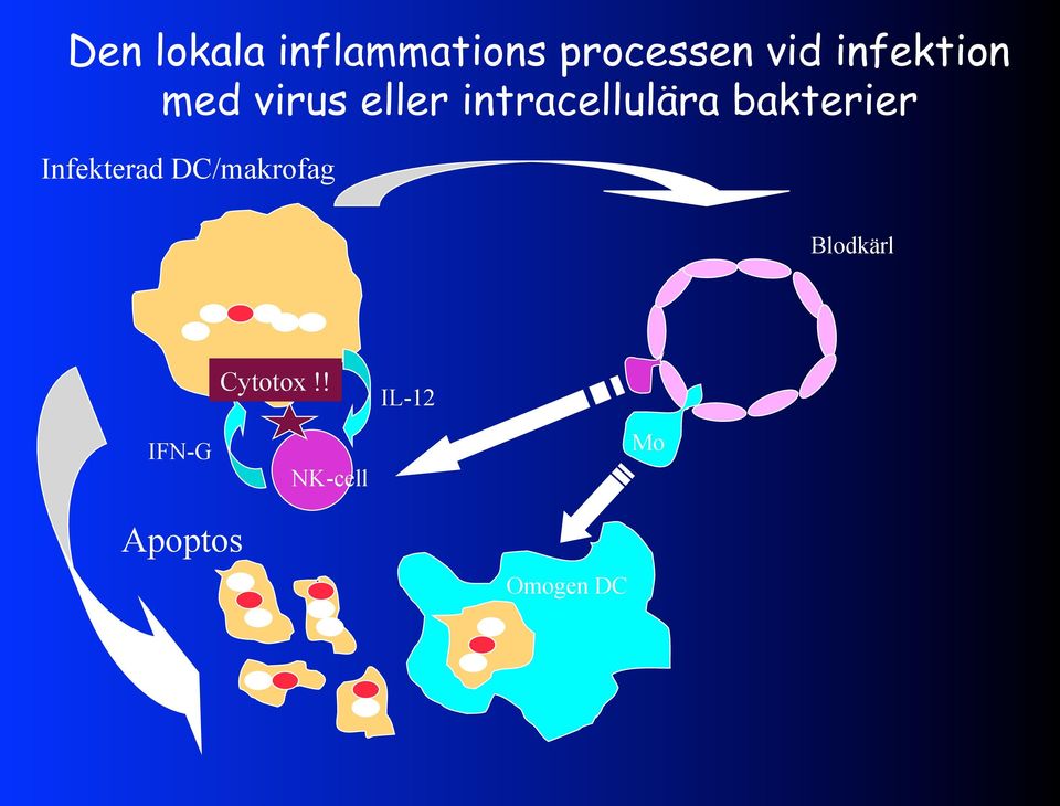 bakterier Infekterad DC/makrofag Blodkärl