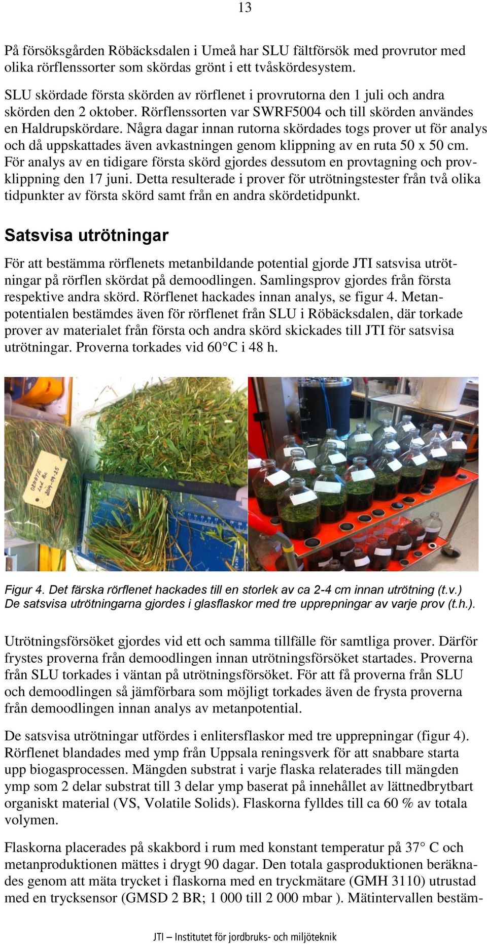 Några dagar innan rutorna skördades togs prover ut för analys och då uppskattades även avkastningen genom klippning av en ruta 50 x 50 cm.