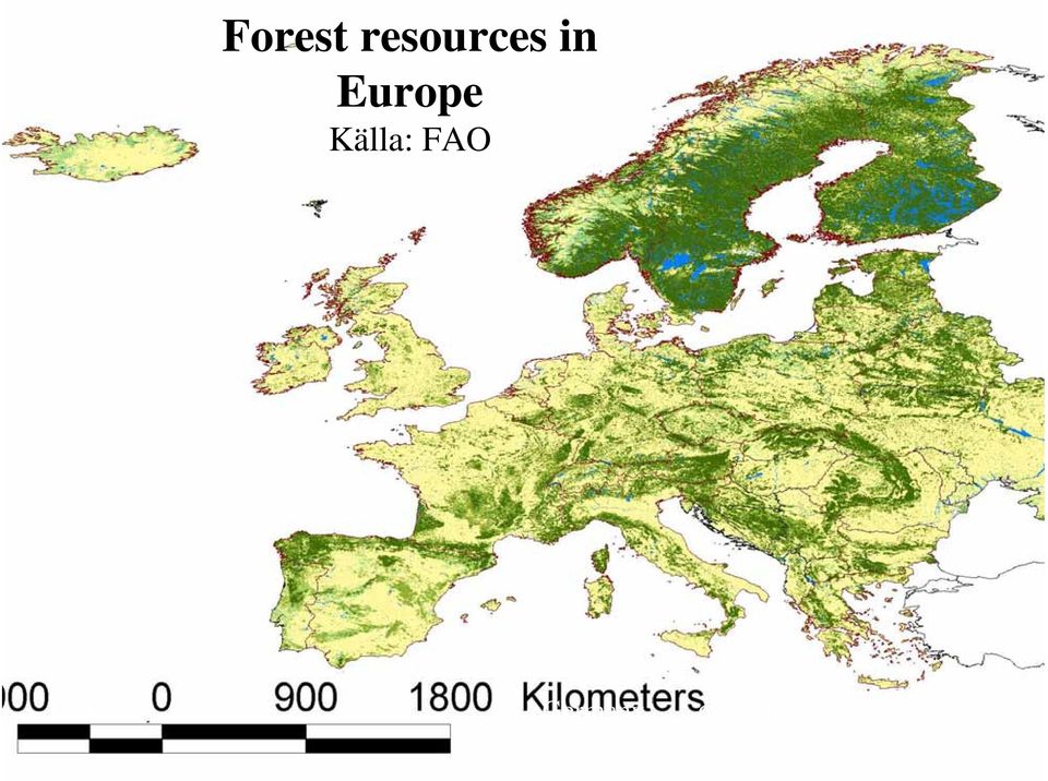 FAO Finland