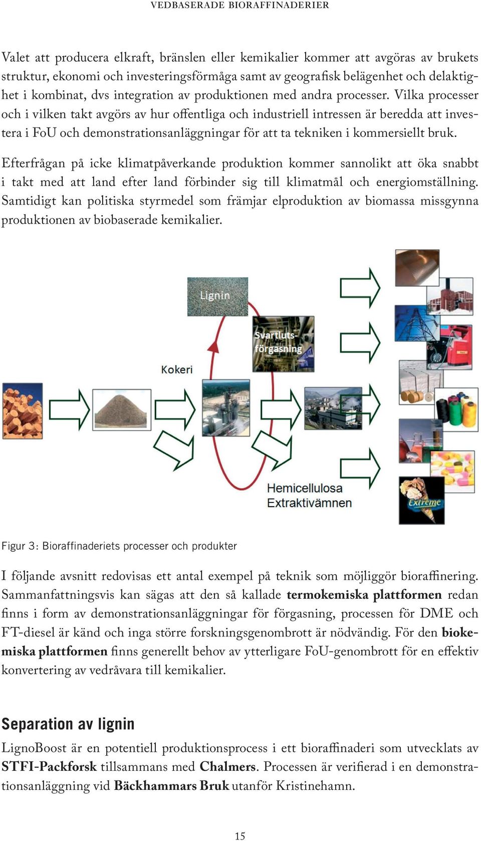 Vilka processer och i vilken takt avgörs av hur offentliga och industriell intressen är beredda att investera i FoU och demonstrationsanläggningar för att ta tekniken i kommersiellt bruk.