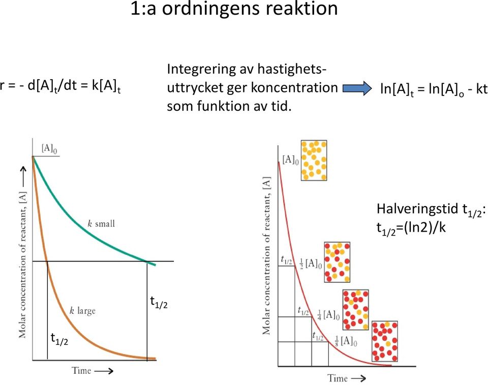 koncentration som funktion av tid.