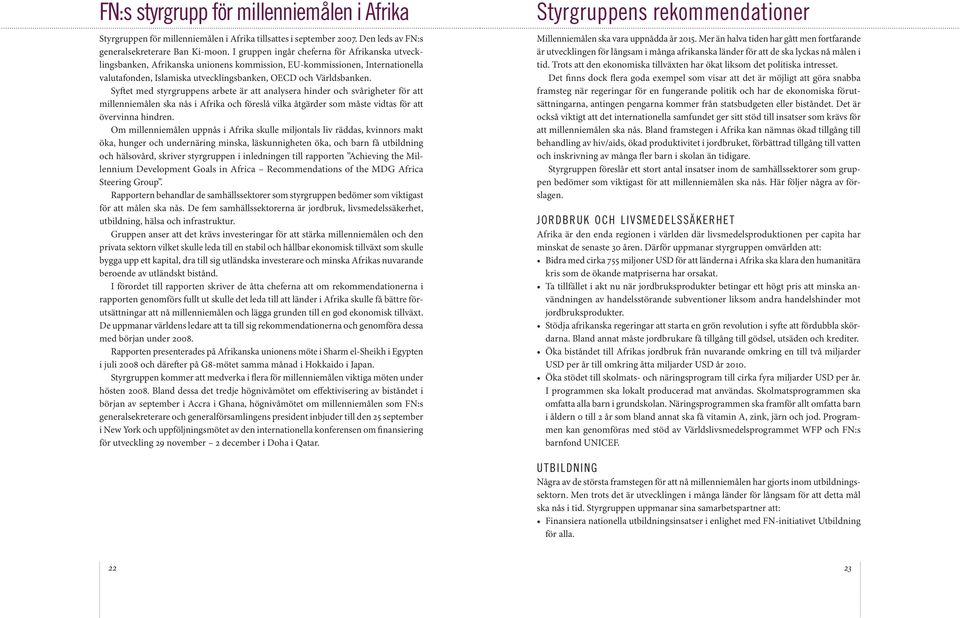 Syftet med styrgruppens arbete är att analysera hinder och svårigheter för att millenniemålen ska nås i Afrika och föreslå vilka åtgärder som måste vidtas för att övervinna hindren.