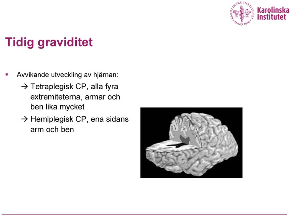extremiteterna, armar och ben lika