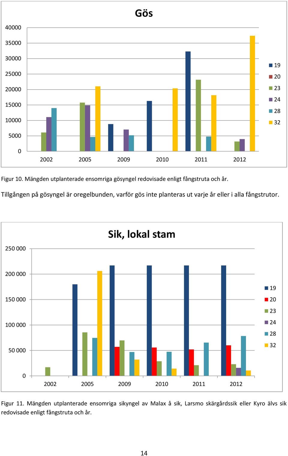 Tillgången på gösyngel är oregelbunden, varför gös inte planteras ut varje år eller i alla fångstrutor.