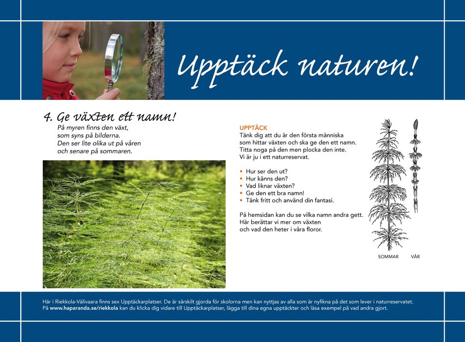Vi är ju i ett naturreservat. Hur ser den ut? Hur känns den? Vad liknar växten? Ge den ett bra namn!
