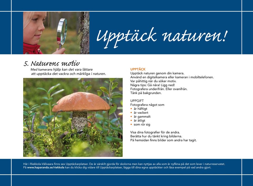 Några tips: Gå nära! Ligg ned! Fotografera underifrån. Eller ovanifrån. Tänk på bakgrunden.