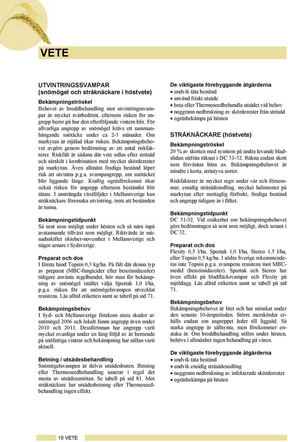 Riskfält är sådana där vete odlas efter stråsäd och särskilt i kombination med mycket skörderester på markytan. Även allmänt frodiga bestånd löper risk att utvintra p.g.a. svampangrepp, om snötäcket blir liggande länge.