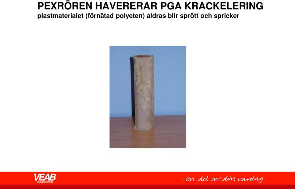 plastmaterialet (förnätad