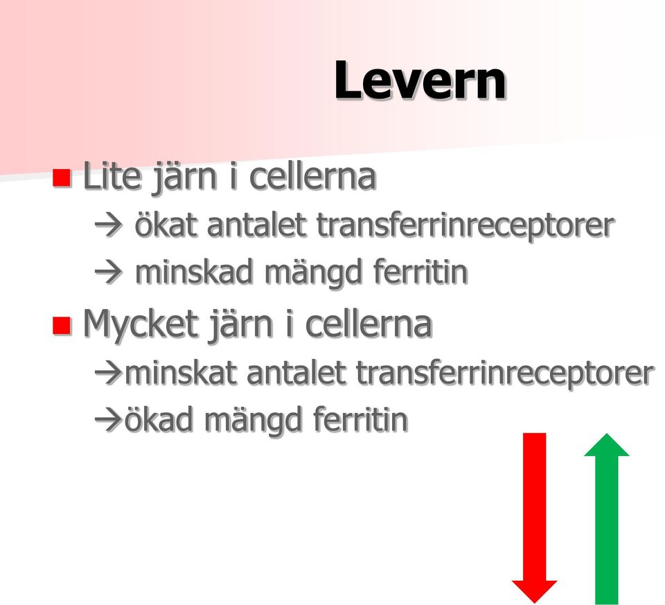 ferritin Mycket järn i cellerna minskat