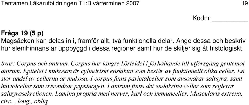 Corpus har längre körteldel i förhållande till utförsgång gentemot antrum. Epitelet i mukosan är cylindriskt enskiktat som består av funktionellt olika celler.