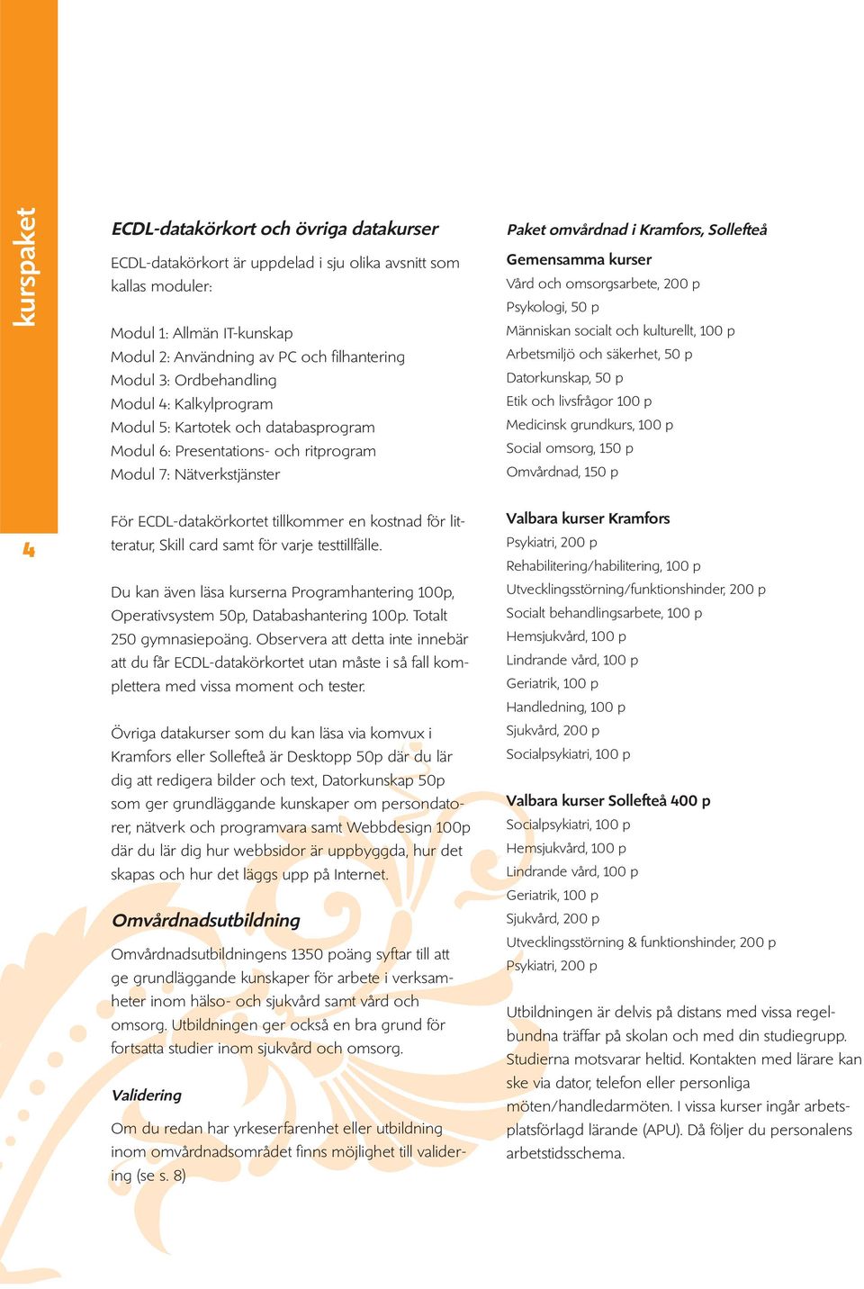 och omsorgsarbete, 200 p Psykologi, 50 p Människan socialt och kulturellt, 100 p Arbetsmiljö och säkerhet, 50 p Datorkunskap, 50 p Etik och livsfrågor 100 p Medicinsk grundkurs, 100 p Social omsorg,