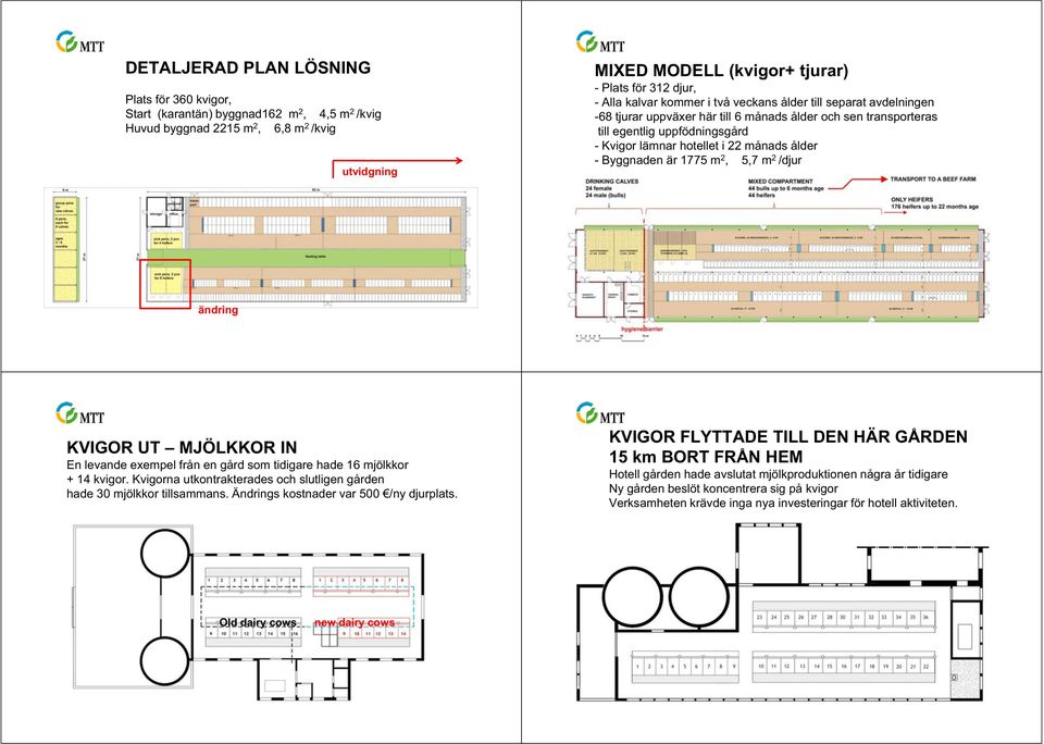 ålder - Byggnaden är 1775 m 2, 5,7 m 2 /djur ändring KVIGOR UT MJÖLKKOR IN En levande exempel från en gård som tidigare hade 16 mjölkkor + 14 kvigor.