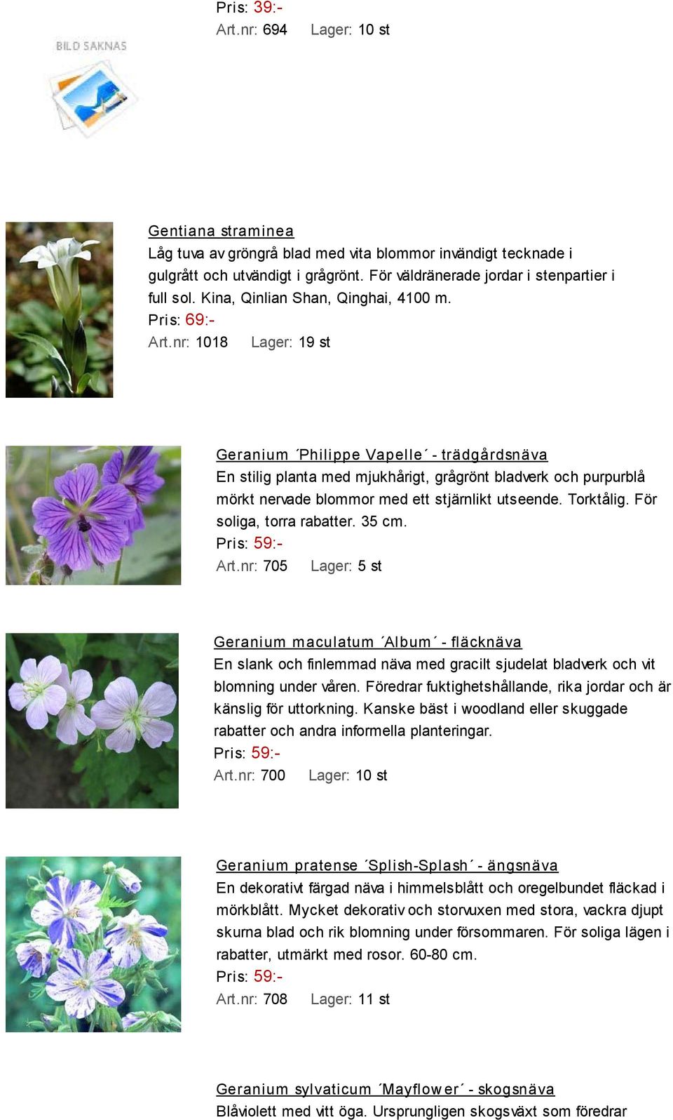 nr: 1018 Lager: 19 st Geranium Philippe Vapelle - trädgårdsnäva En stilig planta med mjukhårigt, grågrönt bladverk och purpurblå mörkt nervade blommor med ett stjärnlikt utseende. Torktålig.