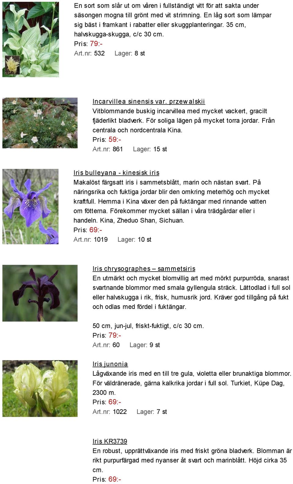 För soliga lägen på mycket torra jordar. Från centrala och nordcentrala Kina. Art.nr: 861 Lager: 15 st Iris bulleyana - kinesisk iris Makalöst färgsatt iris i sammetsblått, marin och nästan svart.