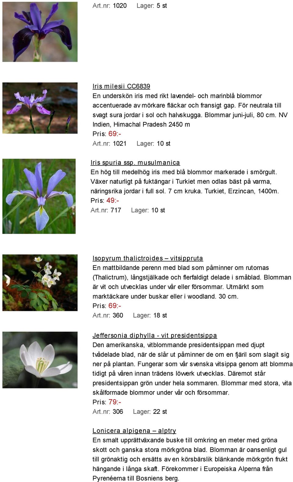 musulmanica En hög till medelhög iris med blå blommor markerade i smörgult. Växer naturligt på fuktängar i Turkiet men odlas bäst på varma, näringsrika jordar i full sol. 7 cm kruka.