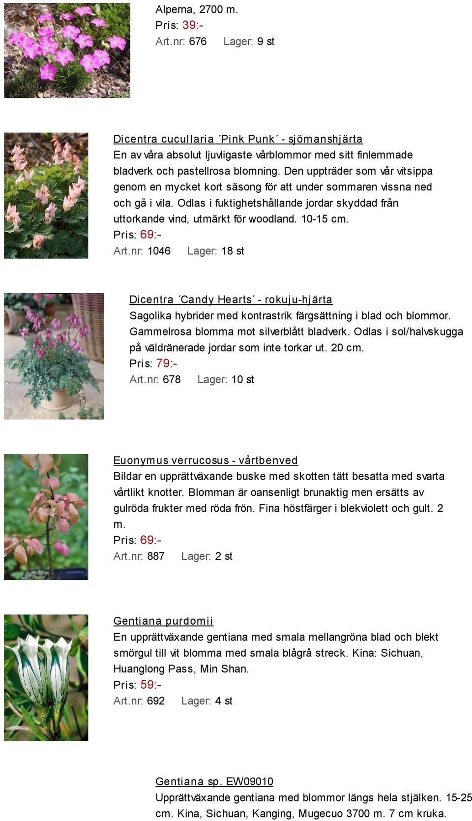 10-15 cm. Art.nr: 1046 Lager: 18 st Dicentra Candy Hearts - rokuju-hjärta Sagolika hybrider med kontrastrik färgsättning i blad och blommor. Gammelrosa blomma mot silverblått bladverk.