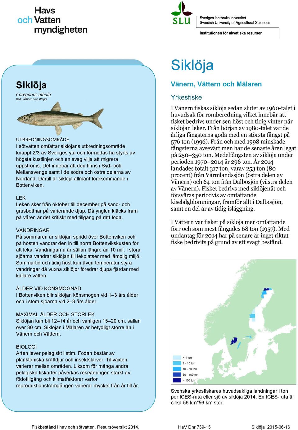 LEK Leken sker från oktober till december på sand- och grusbottnar på varierande djup. Då ynglen kläcks fram på våren är det kritiskt med tillgång på rätt föda.