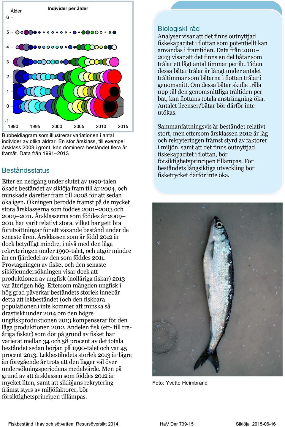 Beståndsstatus Individer per ålder Efter en nedgång under slutet av 199-talen ökade beståndet av siklöja fram till år 24, och minskade därefter fram till 28 för att sedan öka igen.