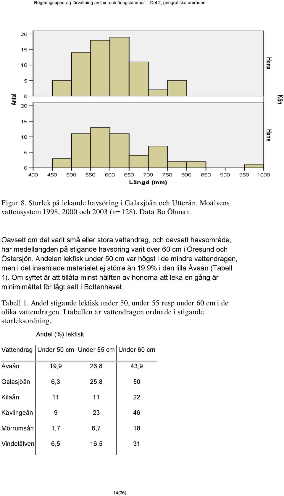 Andelen lekfisk under 50 cm var högst i de mindre vattendragen, men i det insamlade materialet ej större än 19,9% i den lilla Åvaån (Tabell 1).