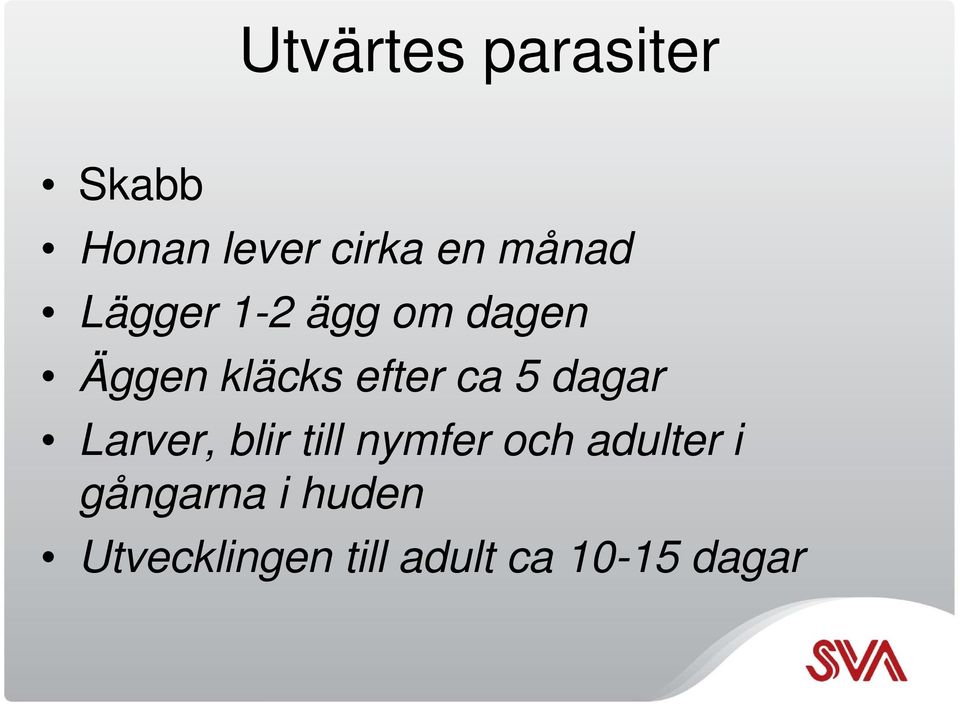 ca 5 dagar Larver, blir till nymfer och adulter i