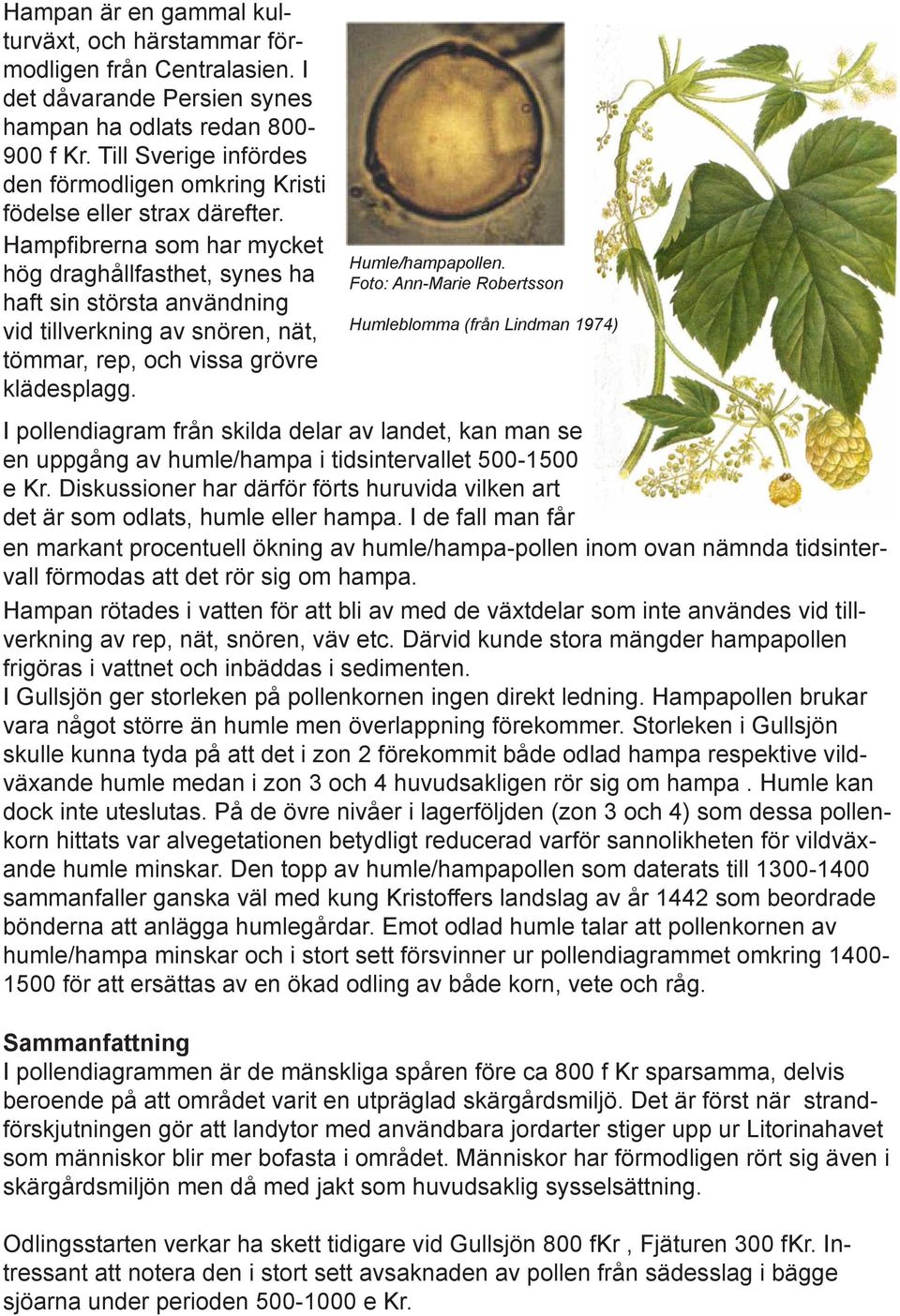 Hampfibrerna som har mycket hög draghållfasthet, synes ha haft sin största användning vid tillverkning av snören, nät, tömmar, rep, och vissa grövre klädesplagg. Humle/hampapollen.