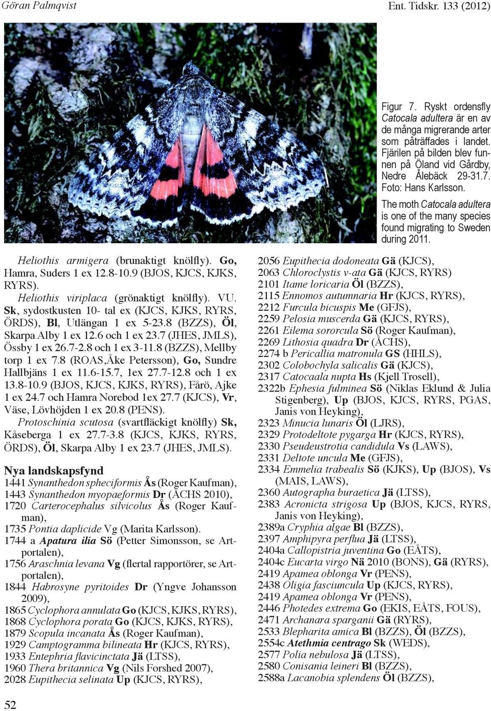 Heliothis armigera (brunaktigt knölfly). Go, Hamra, Suders 1 ex 12.8-10.9 (BJOS, KJCS, KJKS, RYRS). Heliothis viriplaca (grönaktigt knölfly). VU.