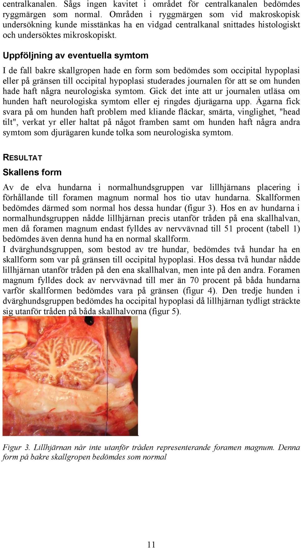 Uppföljning av eventuella symtom I de fall bakre skallgropen hade en form som bedömdes som occipital hypoplasi eller på gränsen till occipital hypoplasi studerades journalen för att se om hunden hade