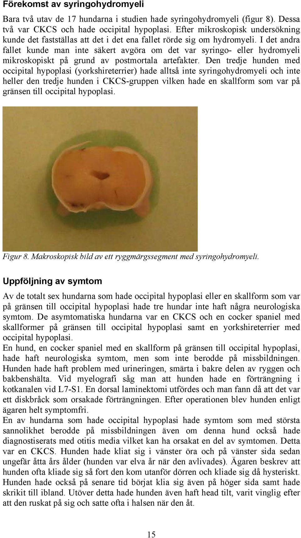 I det andra fallet kunde man inte säkert avgöra om det var syringo- eller hydromyeli mikroskopiskt på grund av postmortala artefakter.