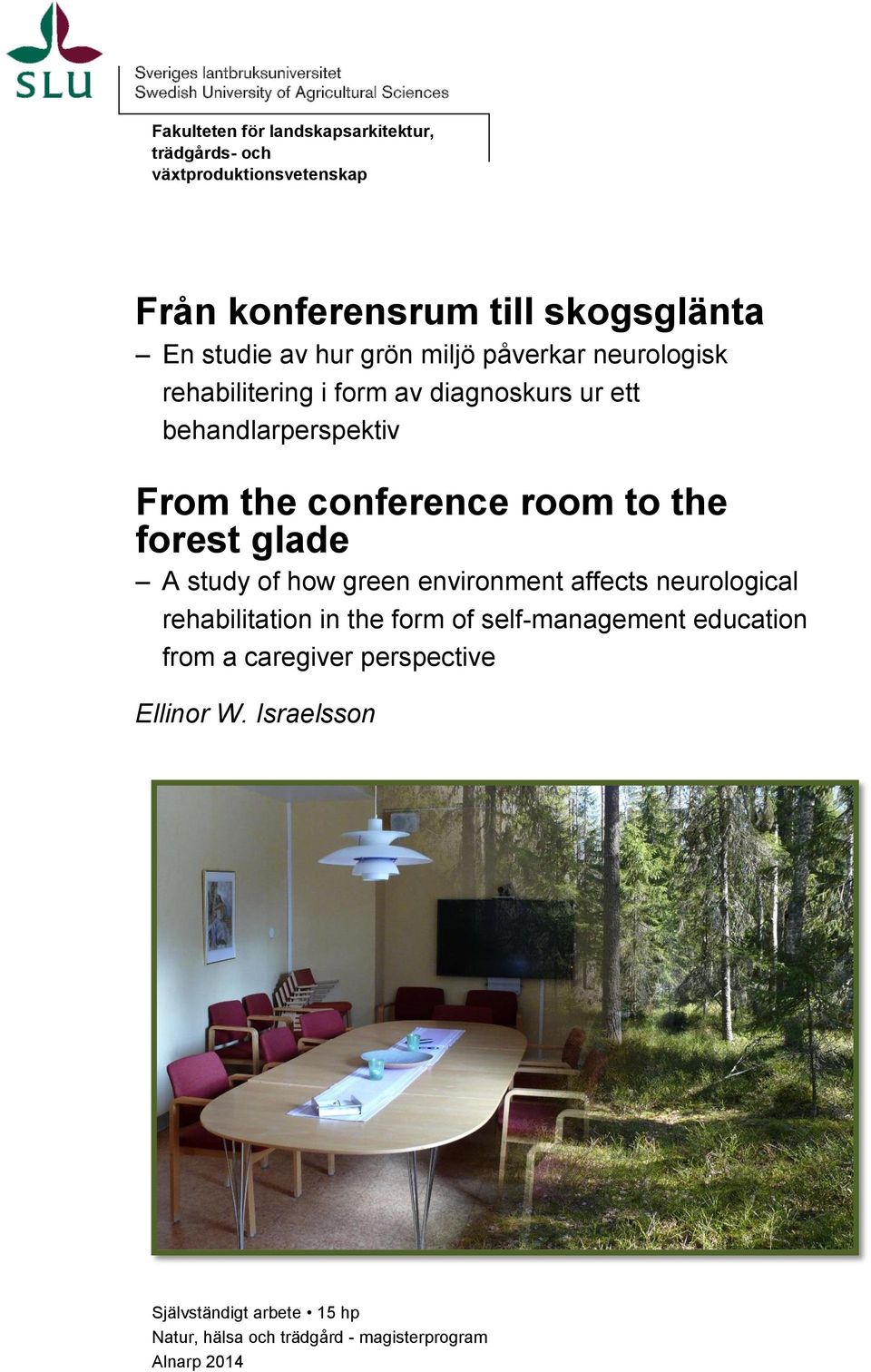 forest glade A study of how green environment affects neurological rehabilitation in the form of self-management education from