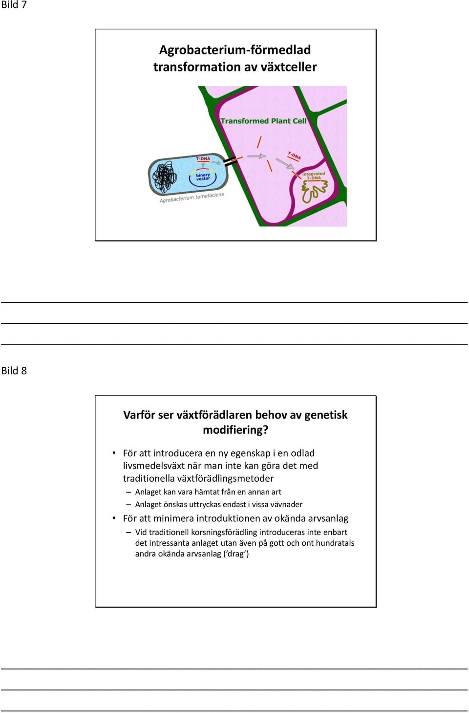 kan vara hämtat från en annan art Anlaget önskas uttryckas endast i vissa vävnader För att minimera introduktionen av okända arvsanlag