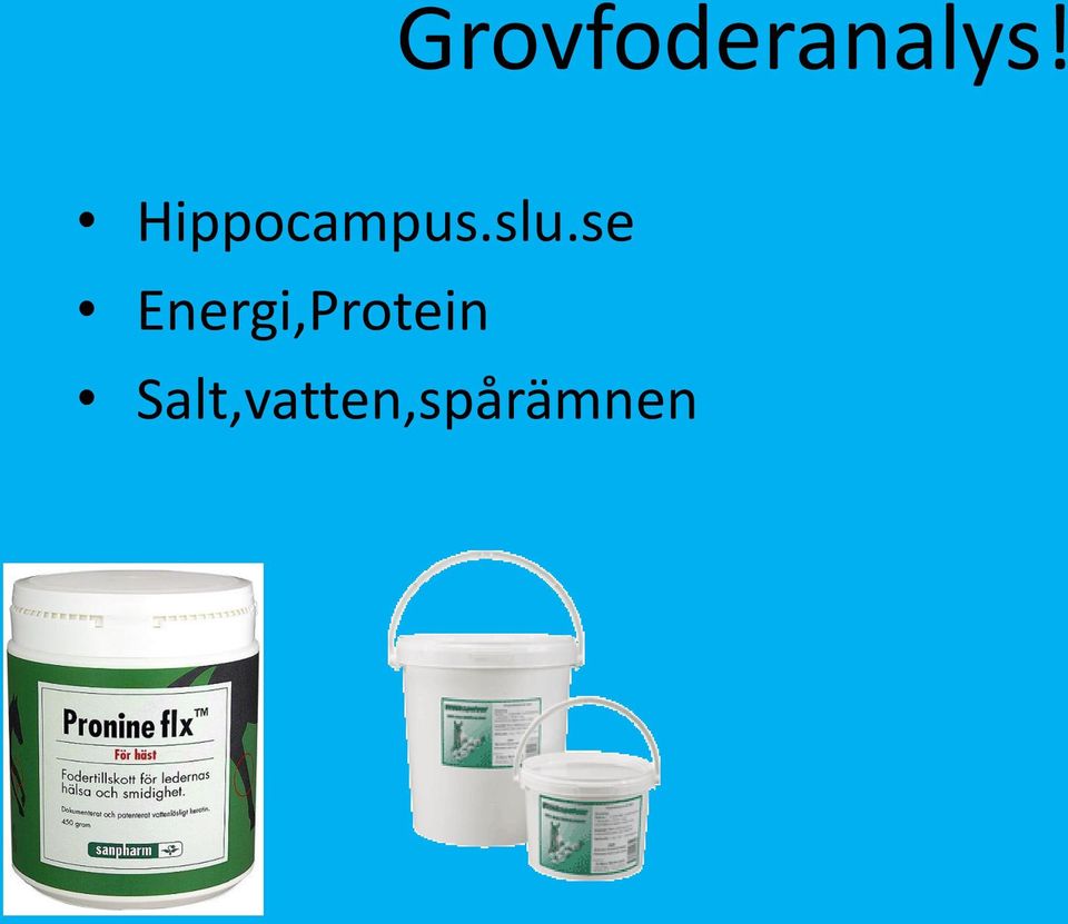 se Energi,Protein