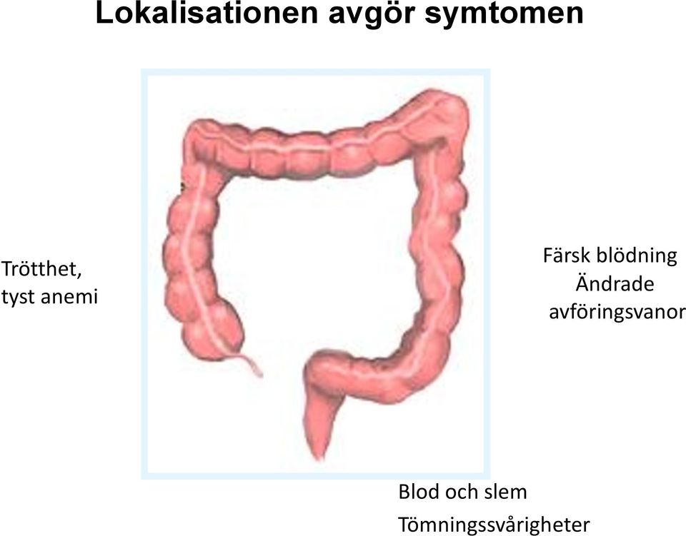 blödning Ändrade