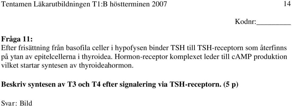 Hormon-receptor komplexet leder till camp produktion vilket startar syntesen av