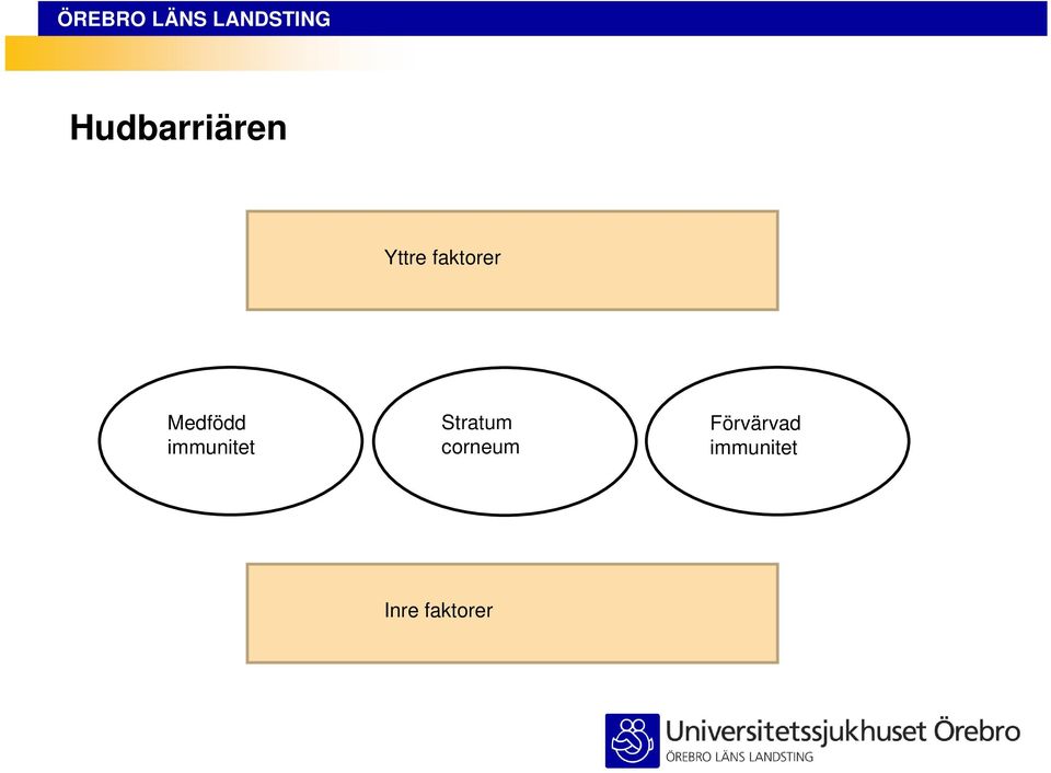 immunitet Stratum