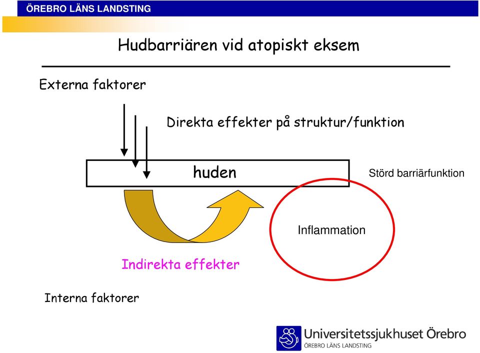 struktur/funktion huden Störd