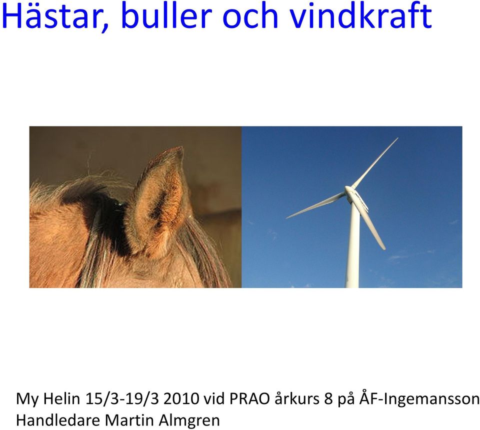 PRAO årkurs 8 på