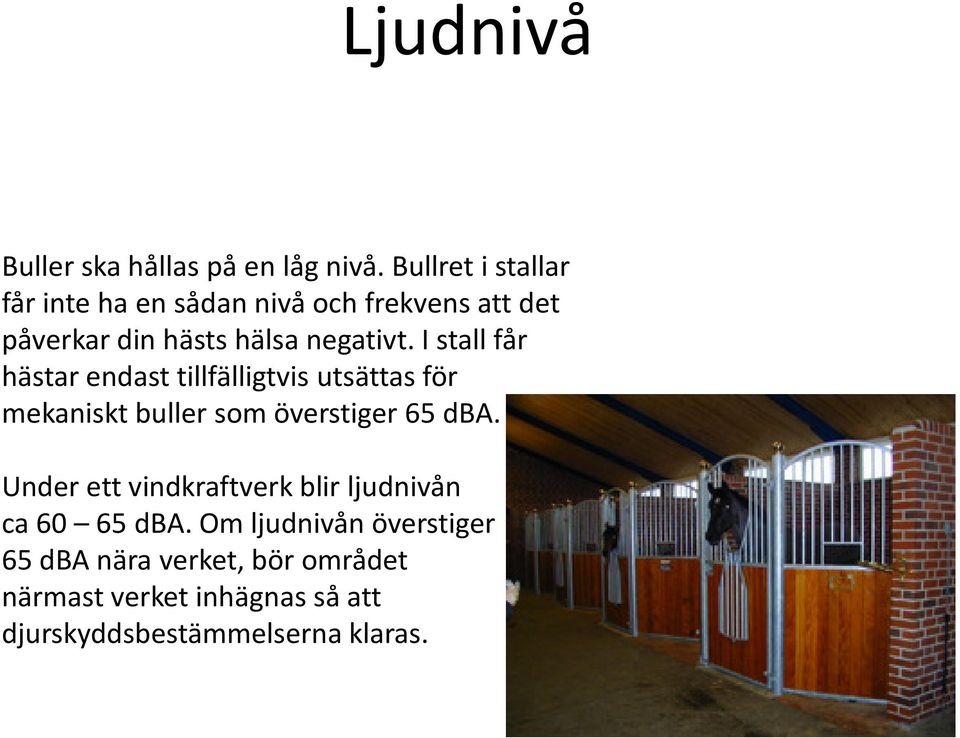 I stall får hästar endast tillfälligtvis utsättas för mekaniskt buller som överstiger 65 dba.